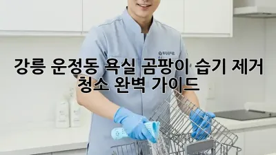 강릉 운정동 욕실 곰팡이, 습기 제거 청소 완벽 가이드